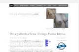 www.chirurgiaplasticaestetica.com